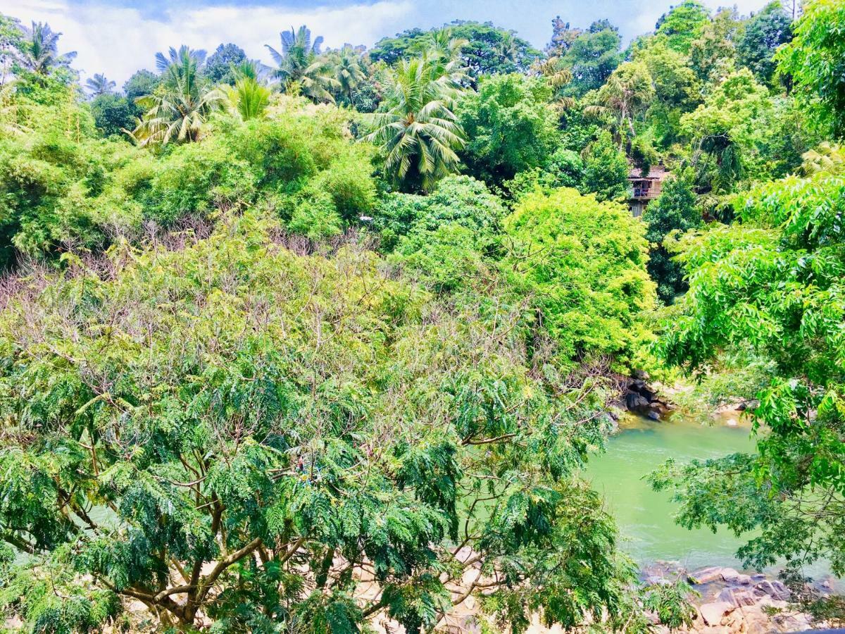 Jenushi Homestay แคนดี้ ภายนอก รูปภาพ