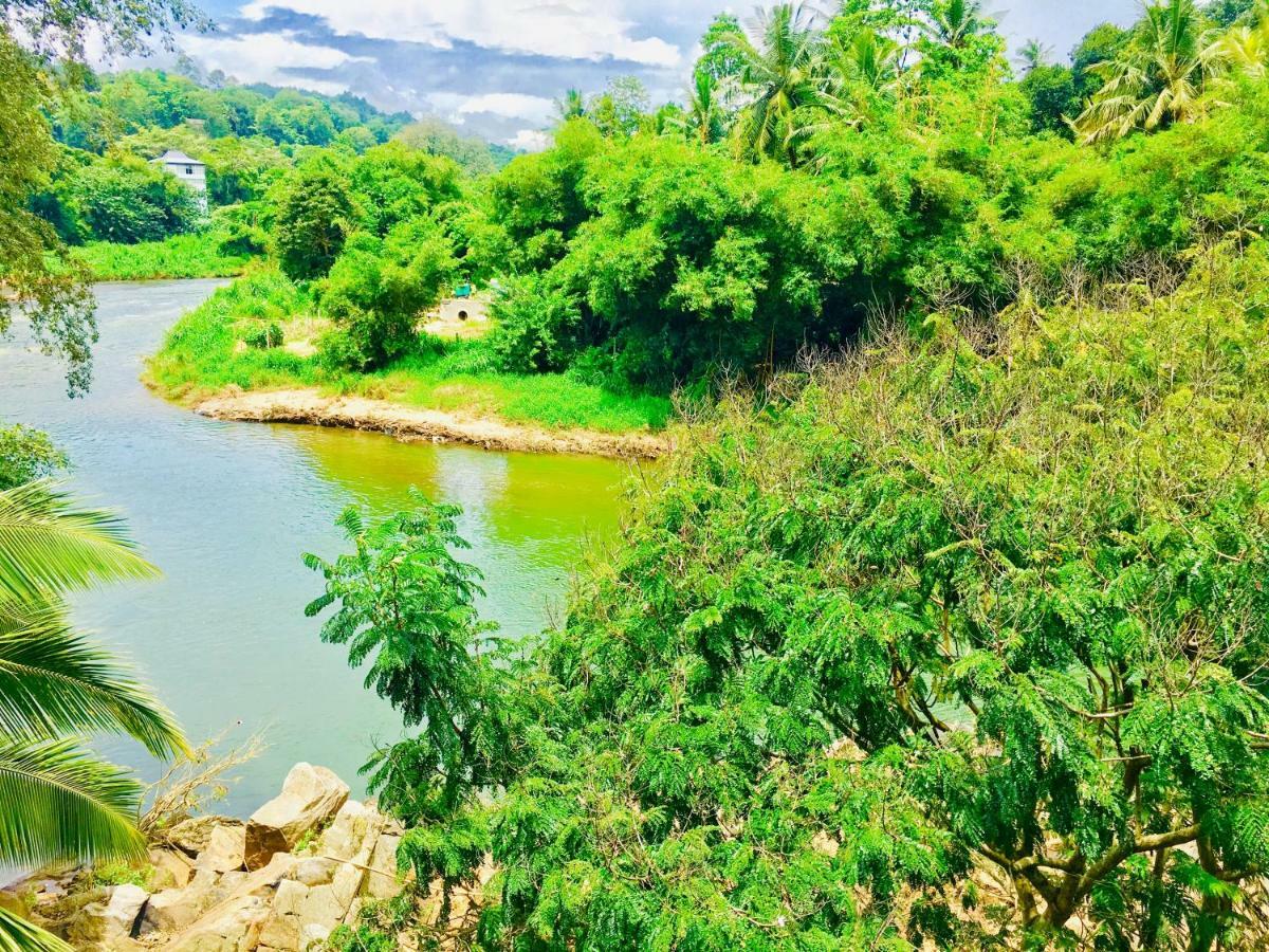 Jenushi Homestay แคนดี้ ภายนอก รูปภาพ